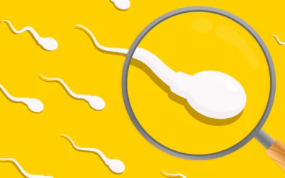 Clinician-validated results, faster – the UK’s only complete home male fertility test – Mojo